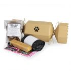 Easy Eco Pet Christmas Cracker - Dog