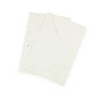 Eco friendly white envelopes 