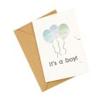 It's a Boy! - Wildflower Plantable Card