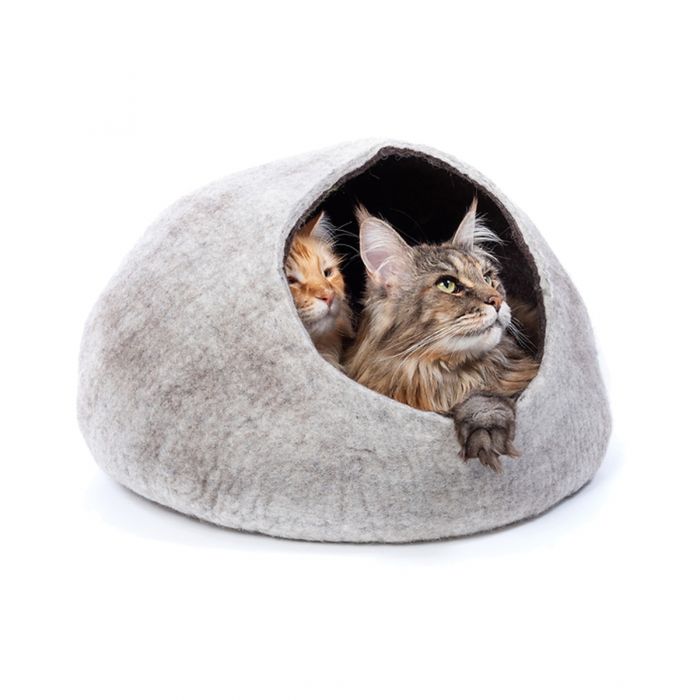 Eco cat bed store