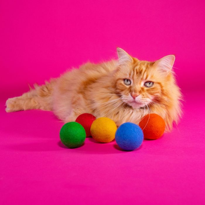 Mimi s Daughter s Felt Balls Eco Cat Toy Pack of 2 All Green
