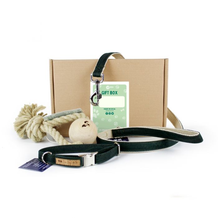 Dog toy hotsell gift set