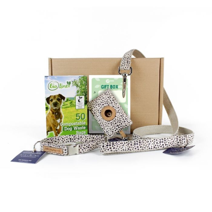 Time for Walkies Eco Friendly Dog Gift Box Dalmatian