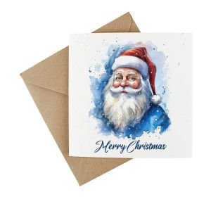 Wildflower Plantable Christmas Card - Father Christmas Blue
