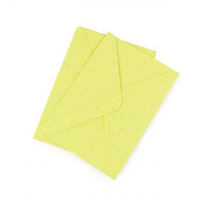 Eco friendly light green envelopes 