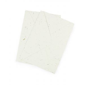 Eco friendly white envelopes 