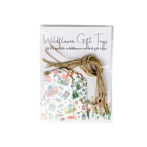 set of ten rectangular seeded gift tags with a festive print