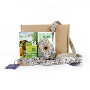 Time for Walkies Eco-Friendly Dog Gift Box - Dalmatian