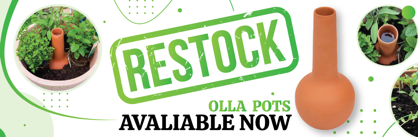Back in stock: Olla Irrigation Pot for Plants