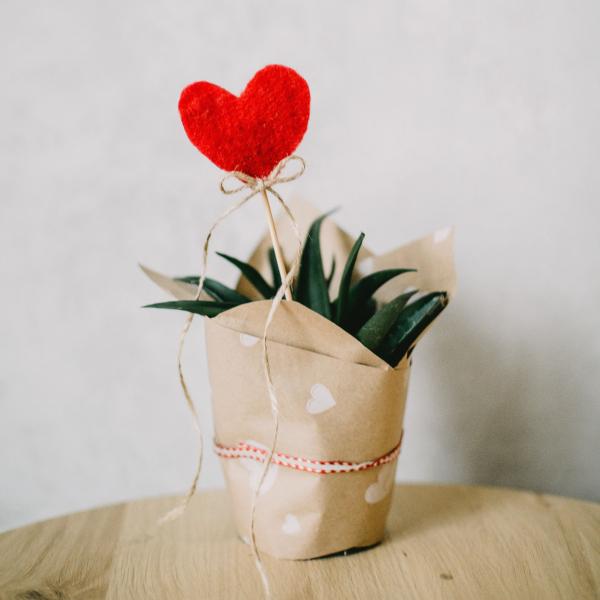 Top 5 Eco-Friendly Valentine's Ideas - How To Have a Sustainable Valentine’s Day