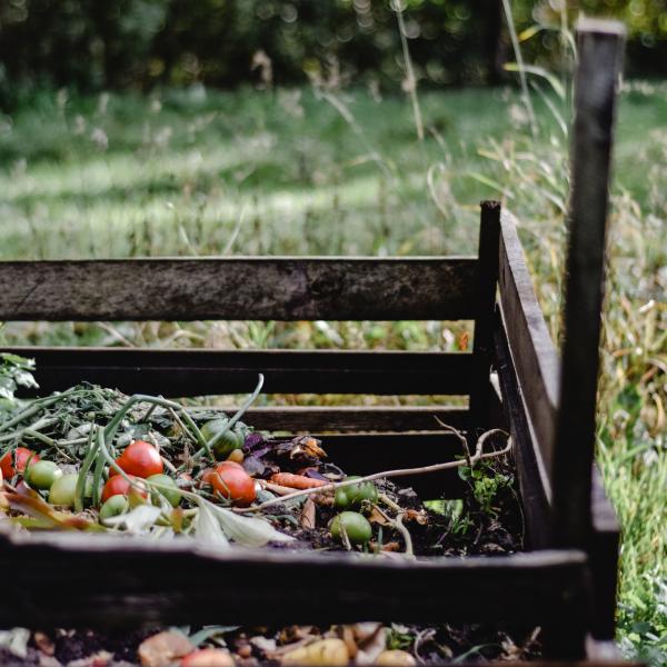 Composting At Home - Everything You Need To Know